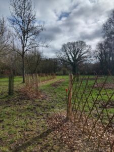 Potager pédagogique : les chantiers participatifs 2026