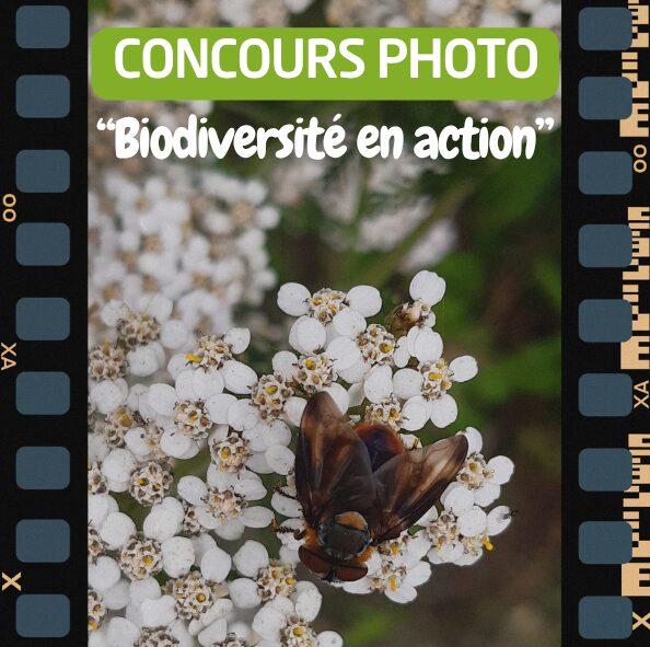 Clos – Concours photo  ”Biodiversité en action” 