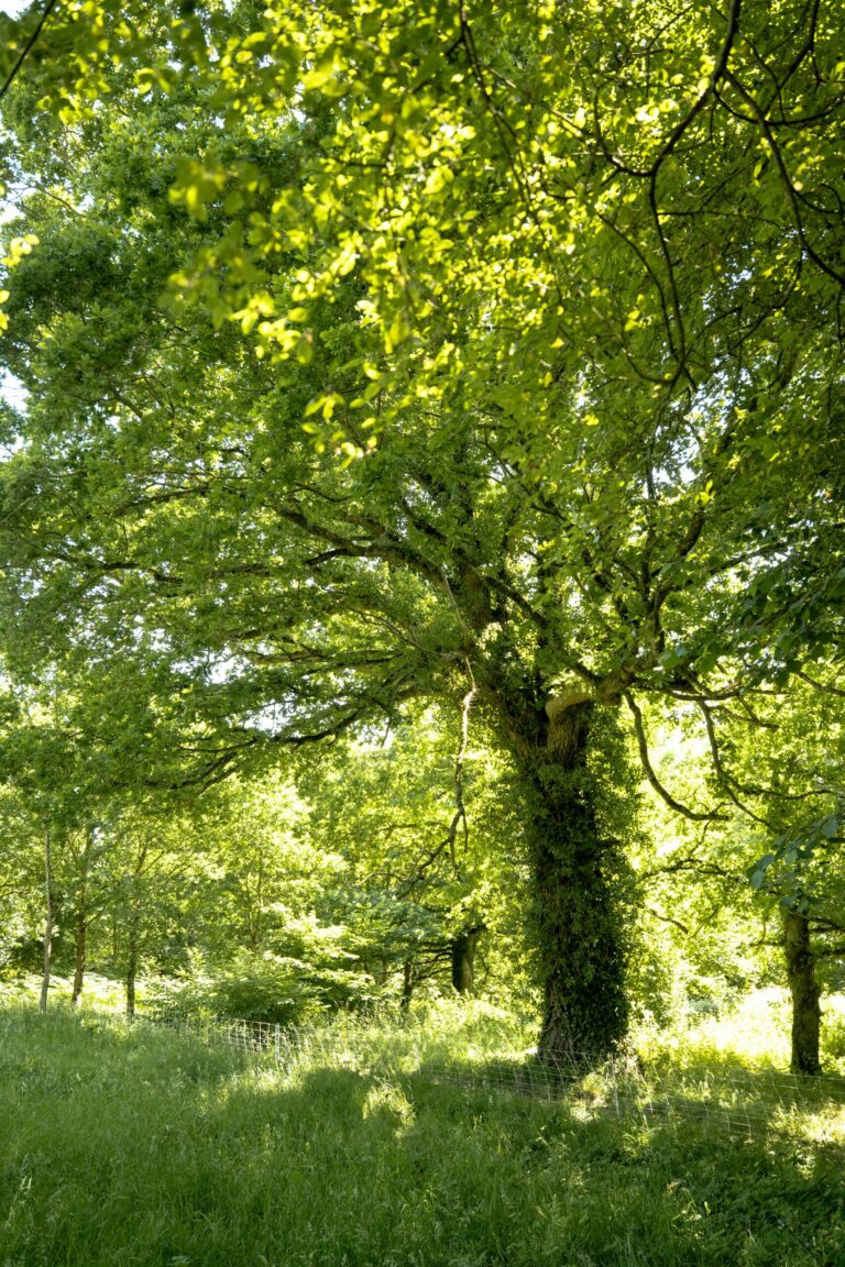 Agenda Maison de la TERRE