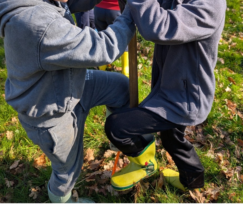 Une forêt comestible à la Maison de la TERRE
