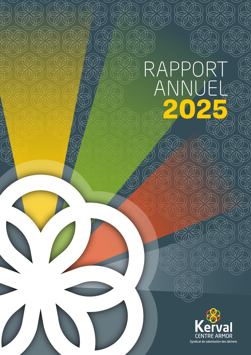 Rapport annuel d'activité 